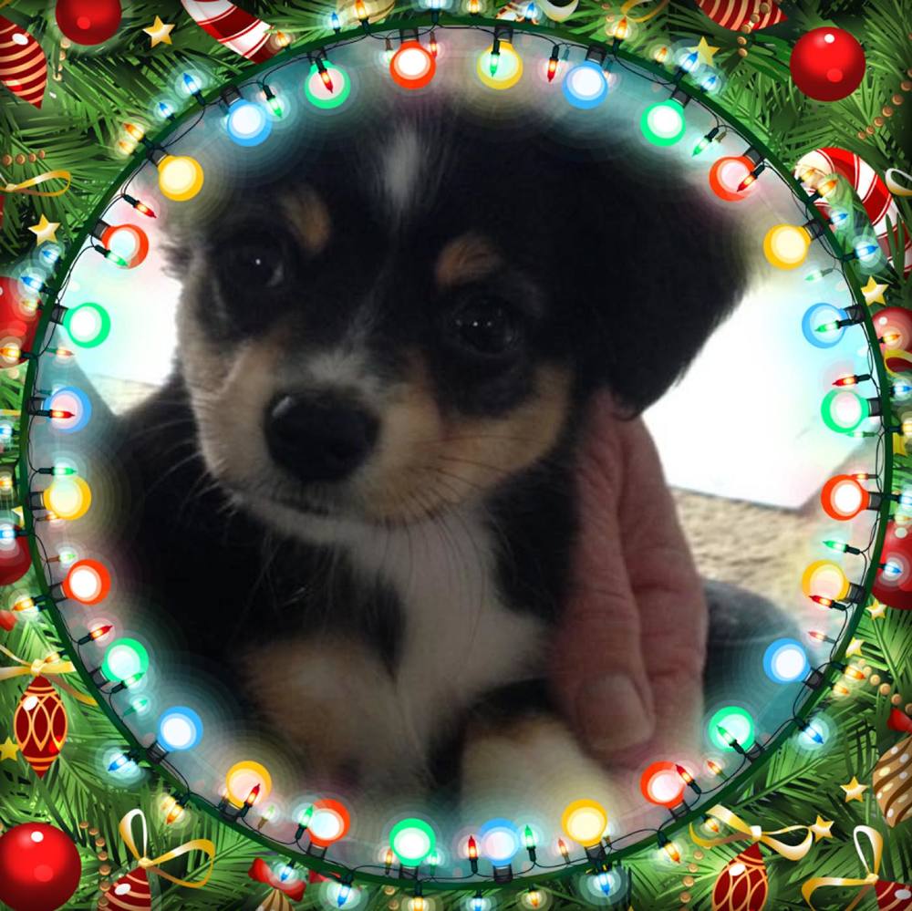 Meet your Posher, Lorraine